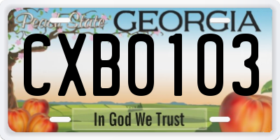 GA license plate CXB0103