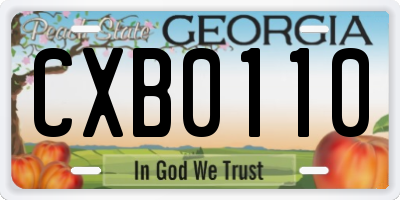 GA license plate CXB0110