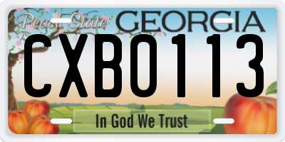 GA license plate CXB0113