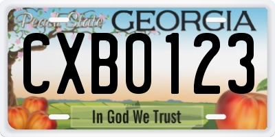 GA license plate CXB0123