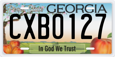 GA license plate CXB0127