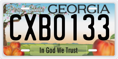 GA license plate CXB0133