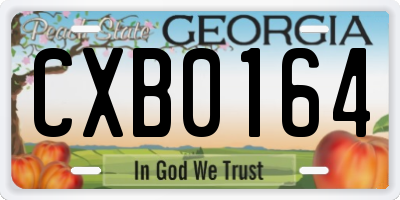 GA license plate CXB0164
