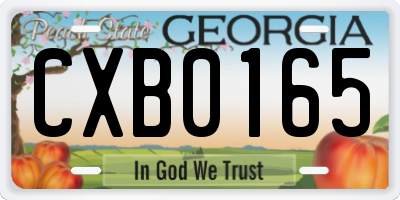 GA license plate CXB0165
