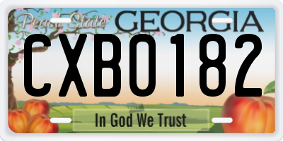 GA license plate CXB0182