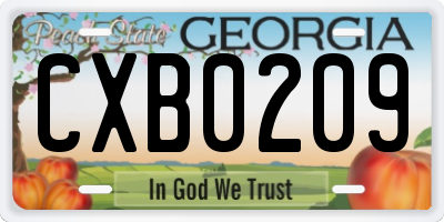 GA license plate CXB0209