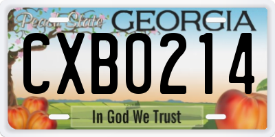 GA license plate CXB0214