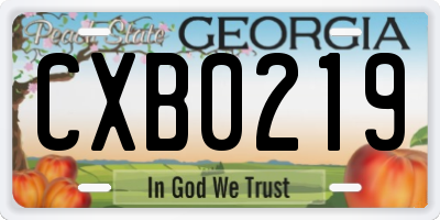 GA license plate CXB0219