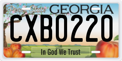 GA license plate CXB0220