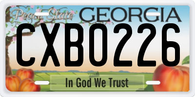 GA license plate CXB0226