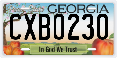 GA license plate CXB0230