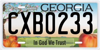 GA license plate CXB0233
