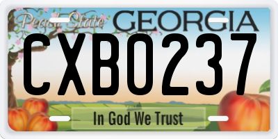 GA license plate CXB0237