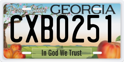GA license plate CXB0251
