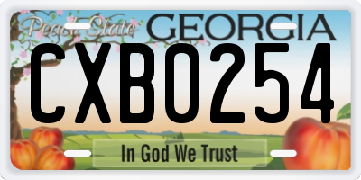 GA license plate CXB0254