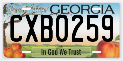 GA license plate CXB0259