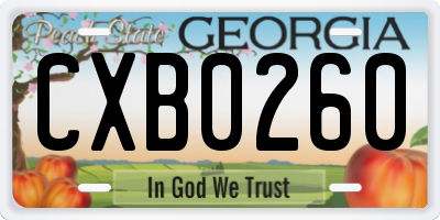 GA license plate CXB0260