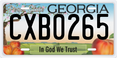GA license plate CXB0265