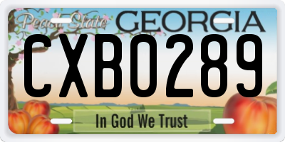 GA license plate CXB0289