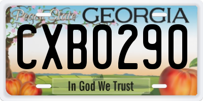 GA license plate CXB0290
