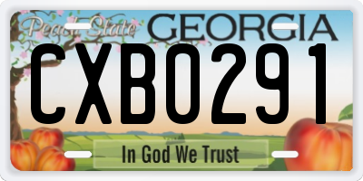 GA license plate CXB0291