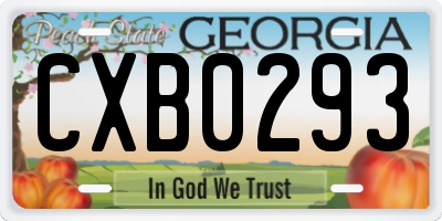 GA license plate CXB0293