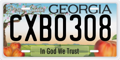 GA license plate CXB0308