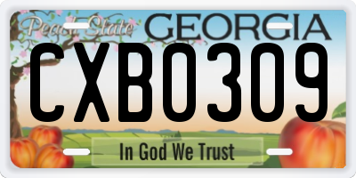 GA license plate CXB0309