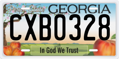 GA license plate CXB0328