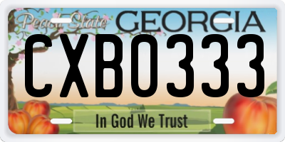 GA license plate CXB0333