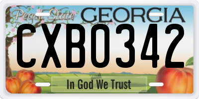 GA license plate CXB0342