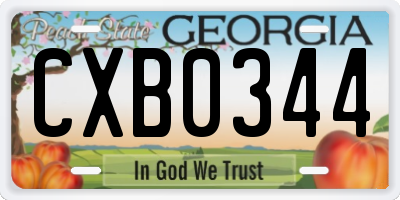 GA license plate CXB0344