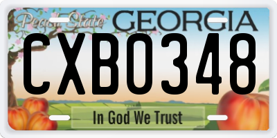 GA license plate CXB0348