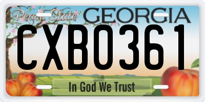 GA license plate CXB0361