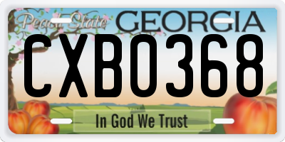 GA license plate CXB0368
