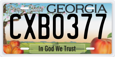 GA license plate CXB0377
