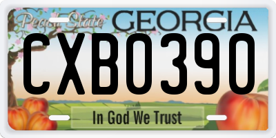 GA license plate CXB0390