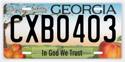 GA license plate CXB0403