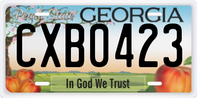 GA license plate CXB0423