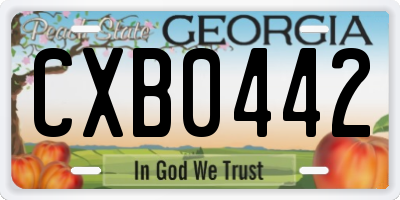 GA license plate CXB0442
