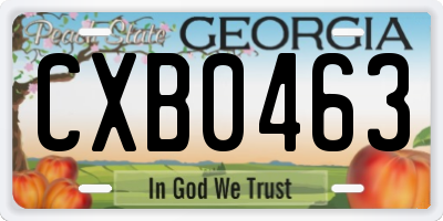 GA license plate CXB0463