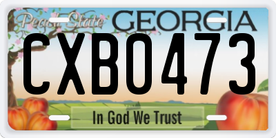 GA license plate CXB0473
