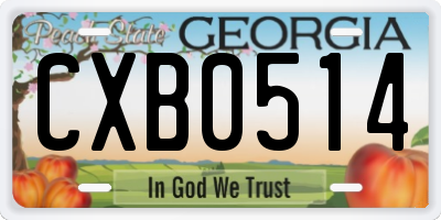 GA license plate CXB0514