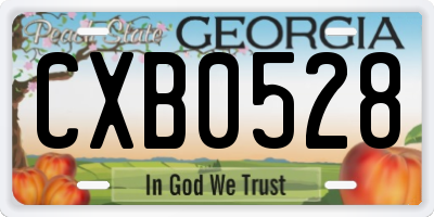 GA license plate CXB0528