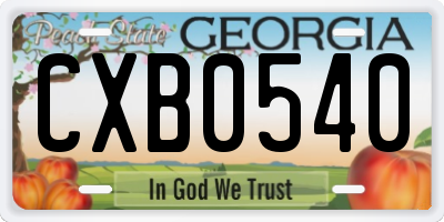 GA license plate CXB0540