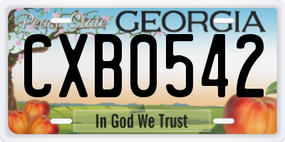 GA license plate CXB0542