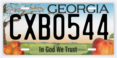GA license plate CXB0544
