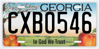 GA license plate CXB0546