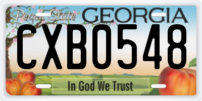 GA license plate CXB0548