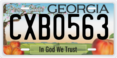 GA license plate CXB0563